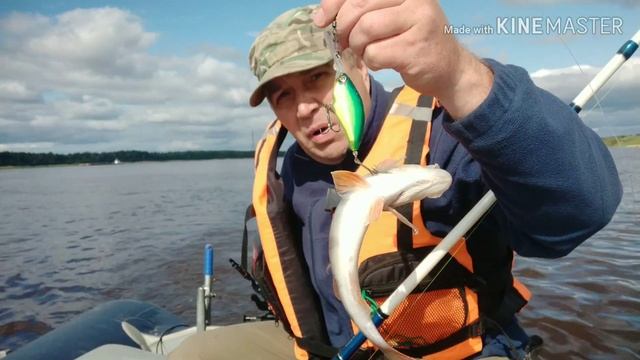 Ловля окуня вымучиванием на нытье.