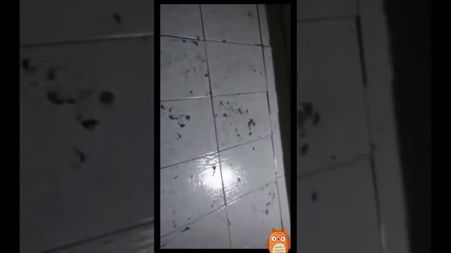 De716349a628741626f6e1201e1e9347