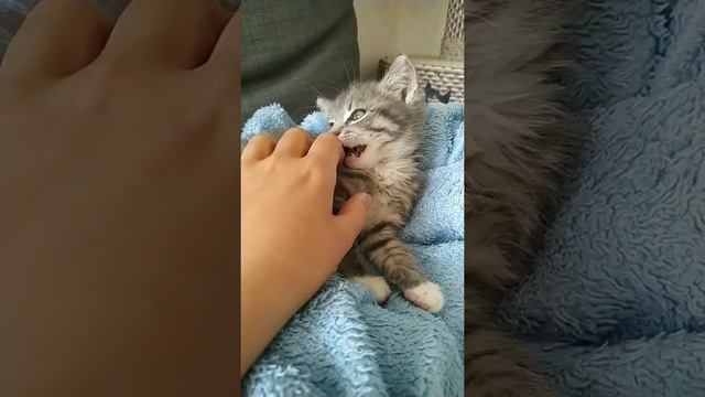 B32fb3bef5893f3e1a976fc82c8c4192