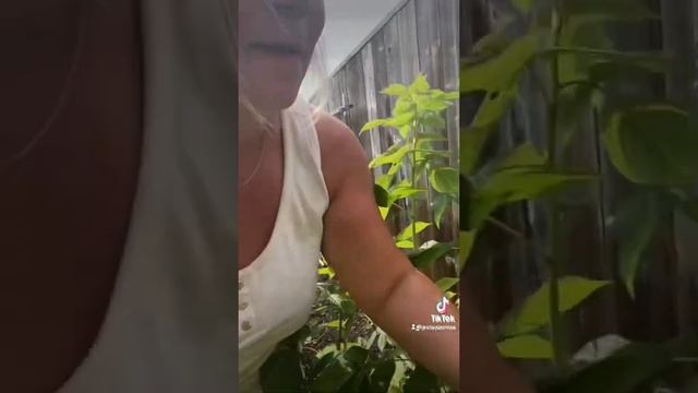 E68c72ae659ace6ed20434c432a51f60