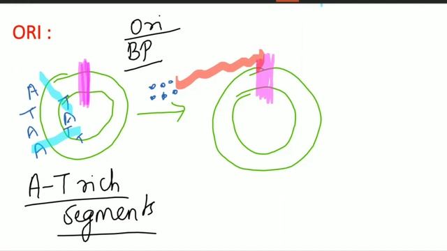 Replication | Genetics | Biochemistry | Agam Webinars
