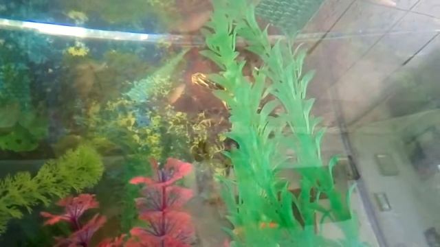 День как день