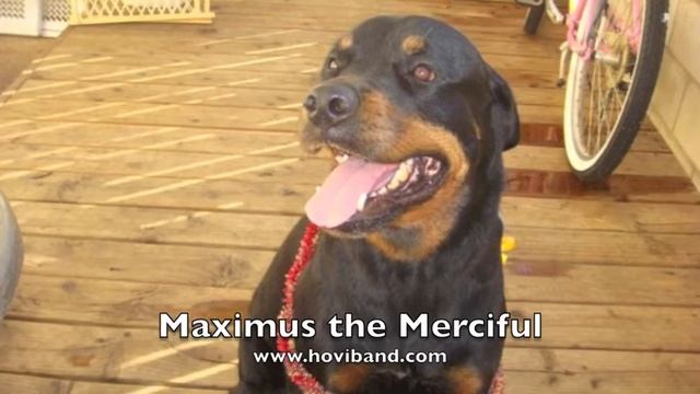 Maximus The Merciful 1