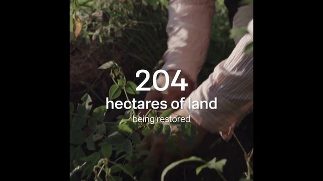 Taking Root And Abatable Partner To Drive Large-scale Forest Restoration In Nicaragua