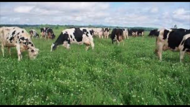 5374dd37ec5a793cbcc083f3e379a680