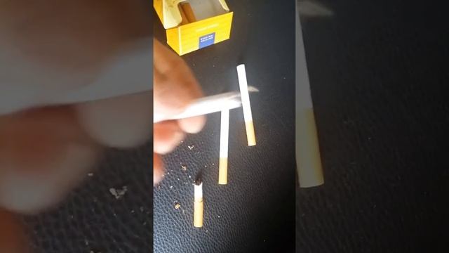 Empoisonnement Par La Cigarette