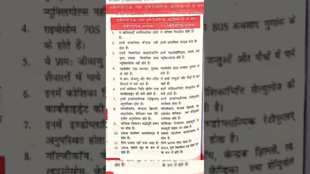 Different Between Prokaryotic And Eukariotic Cell