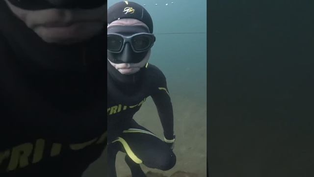 24 октября 2023 Найдено сегодня на  дне Янтарного озера