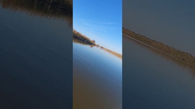 18 декабря 2023 г.Дорога домой