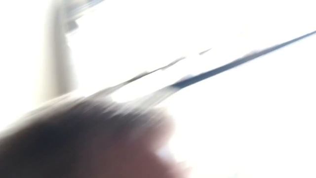 Surly Goodness And Coffee In Vienna