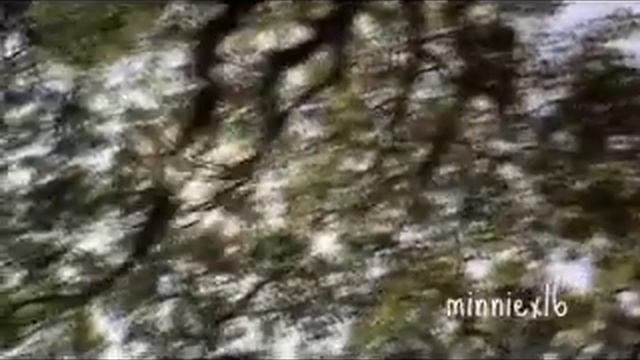 Percabeth&Thaico | All I Wanted Was You | Collab Part For Eskiiesradorable