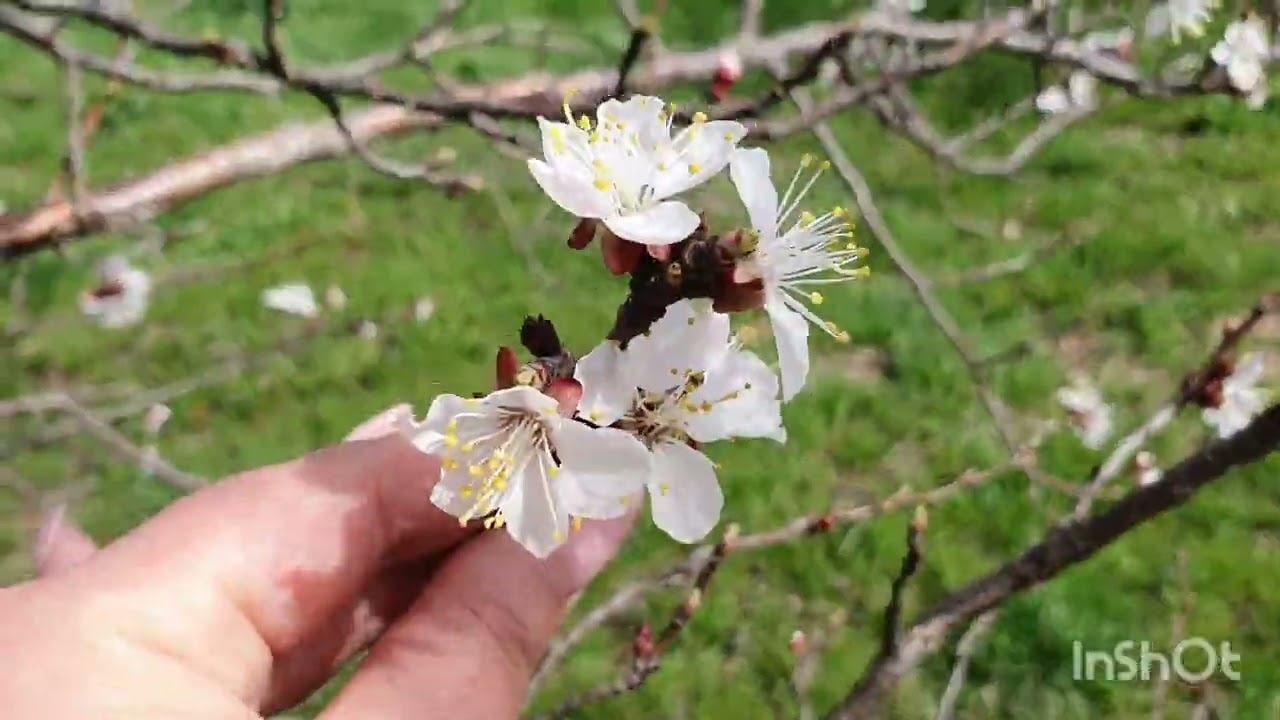 А у нас весна.