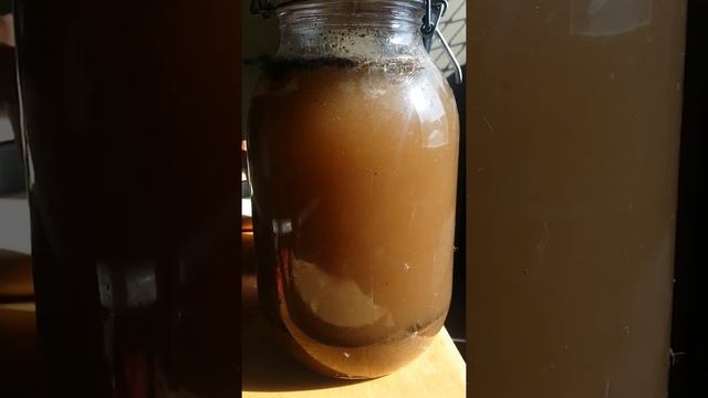 Tap Water Ecosystem Is Ready