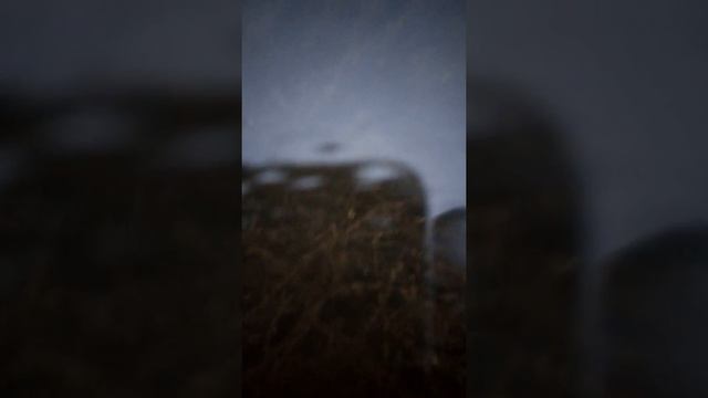 Перволед 2018. Прозрачный лед