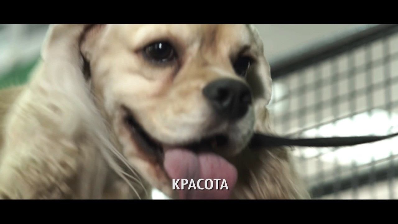 Ae045de491f433d11271f396d283d4a5