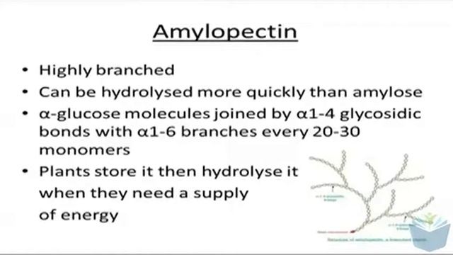 419eccb3a4ad0057378cc8cf417539d4