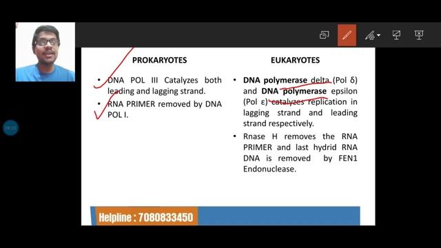 DNA REPLICATION IN PROKARYOTES & EUKARYOTES