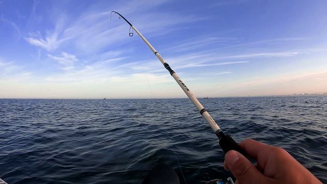 Ловля саргана с сапборда в Анапе