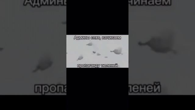 когда админы спят