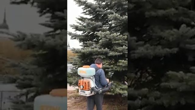 Обработка дерева от вредителей (компания 