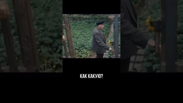 6d647b30f1fdbe85418460a7f4f4c7e9