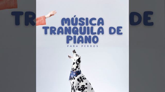 927e3d9c6c92c0cb02e214589273a498