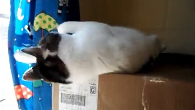 38b1f7e4640ff2241ae16030eec138fa