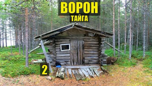 ПРОМЫСЕЛ на СОБОЛЯ ДОМ ЛЕСНИКА ОПЫТ ДЕДА ОТШЕЛЬНИК УБЕЖИЩЕ СУДЬБА в ЛЕСУ ИСТОРИИ из ЖИЗНИ СЕРИАЛ 2
