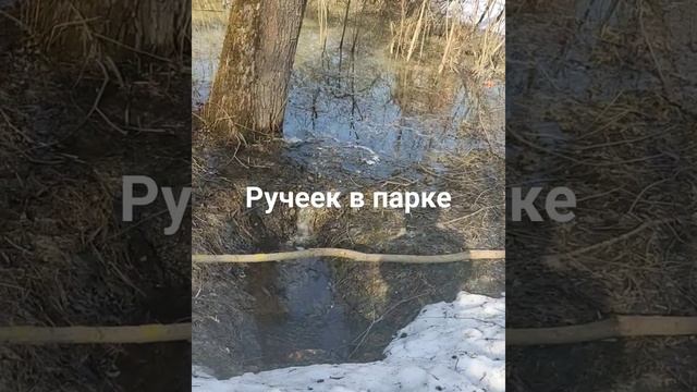 Снег в парке еще не растаял, но ручейки превращаются в маленькие водопады 😉.