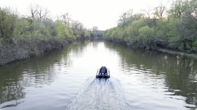 Апполон 460 RIB