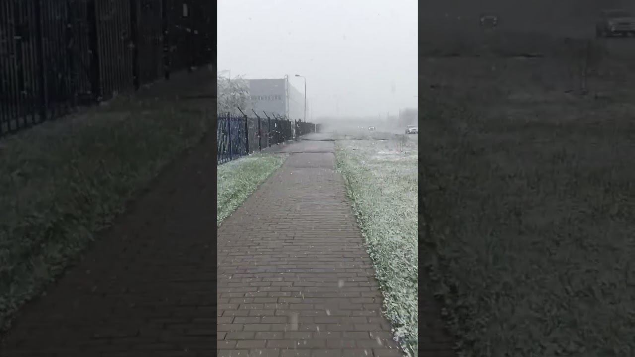 В Питере лето уже было, расслабьтесь!) 5 мая 2023 г.