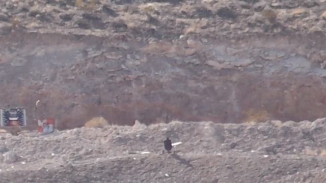 .223 Remington @ 1,200 Yards PART #2