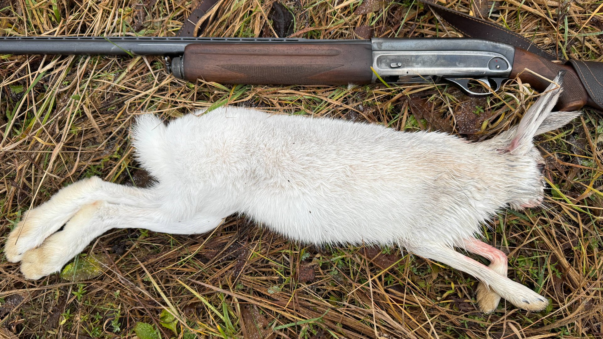 F1085884034d5f9d574d7e2058284e5b