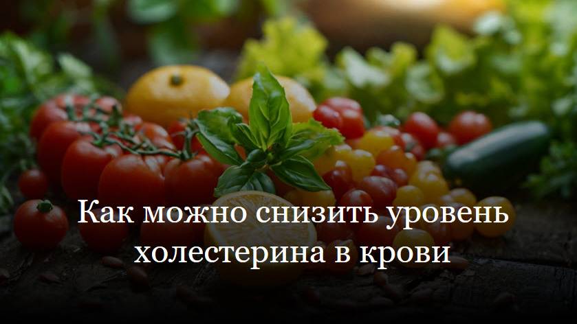 Как можно снизить уровень холестерина в крови