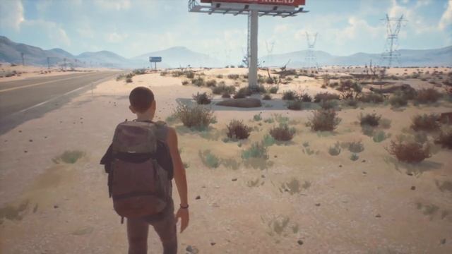 Life Is Strange 2 Collectible #3/