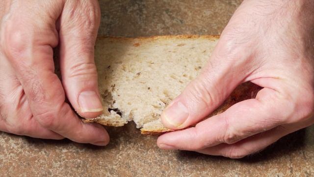 Slow Motion Rye Structure Test - KitchenAid Proline 7Q Mixer
