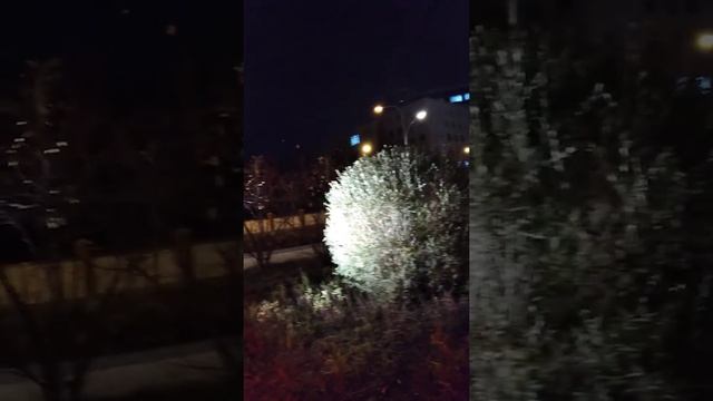 Место для свиданий! Шикарная вечерняя набережная! Горячие скамейки сковородки.Казань.