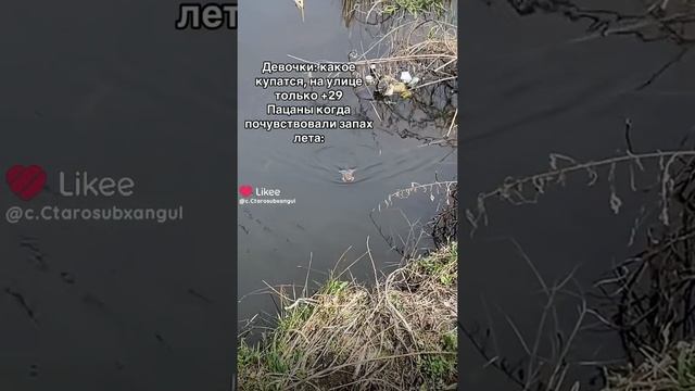 Как тебе ? 😅🤩 Напиши в комментариях💗💌