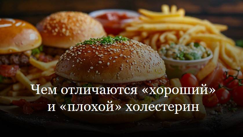 Чем отличаются «хороший» и «плохой» холестерин