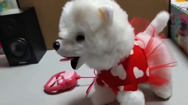 Собачка шпиц на поводке 4770