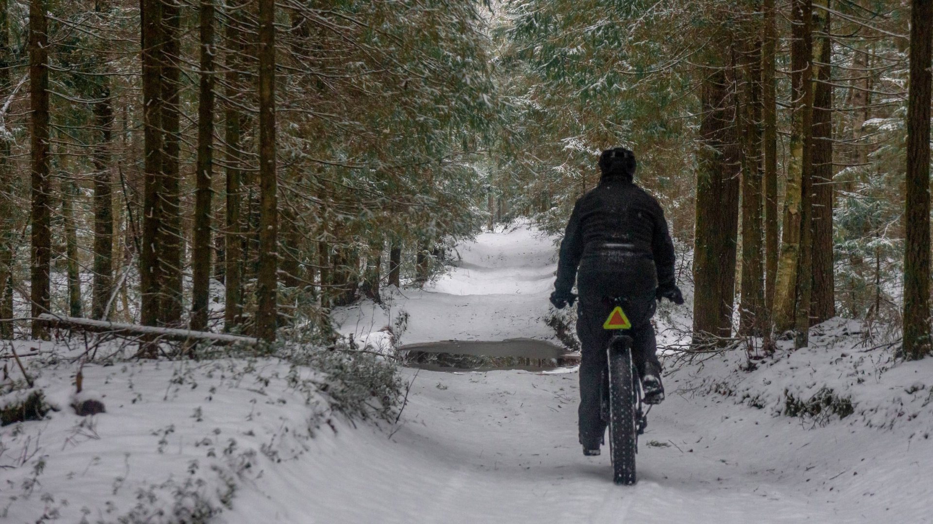 Оларёвка ICE! 29 ноября 2024.