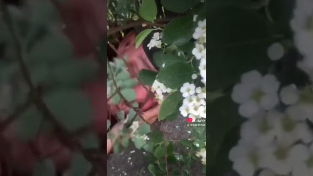 Как тебе ? 😅🤩 Напиши в комментариях💗💌