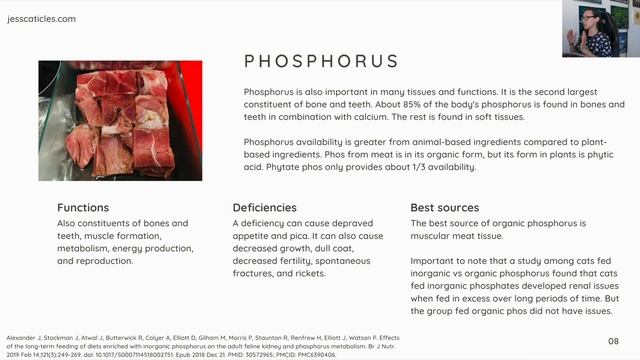 These Nutrients Are Essential For Everything