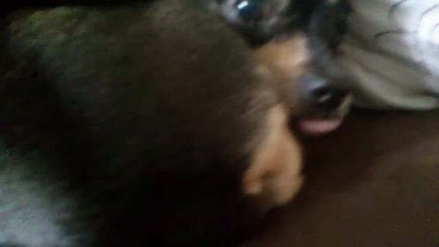 A90b0628eedd789d0dd20a34fc9ce927