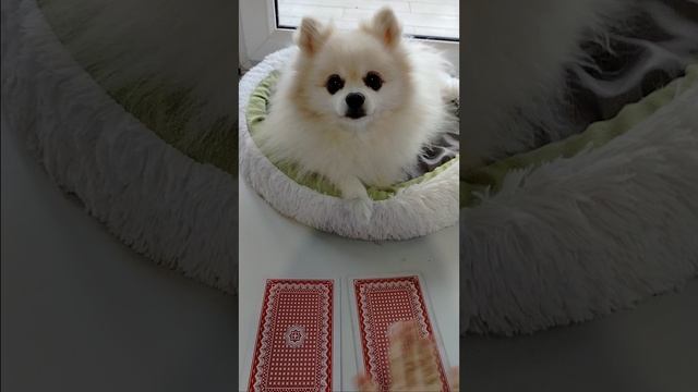 0813120679ad77cf38713ad1fb2f31a4