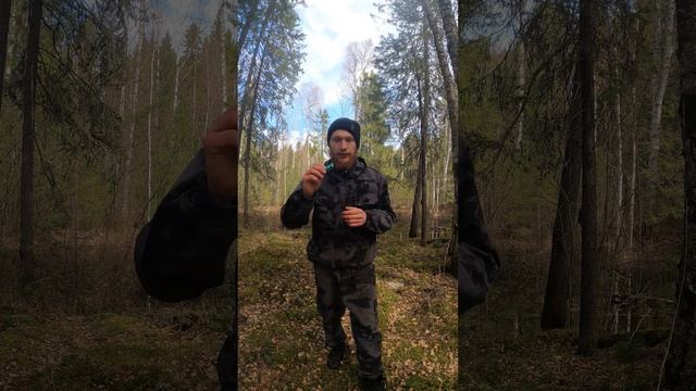 Конфетка для медведя  #выживание #дикаяприрода  #бушкрафт #выживалыч