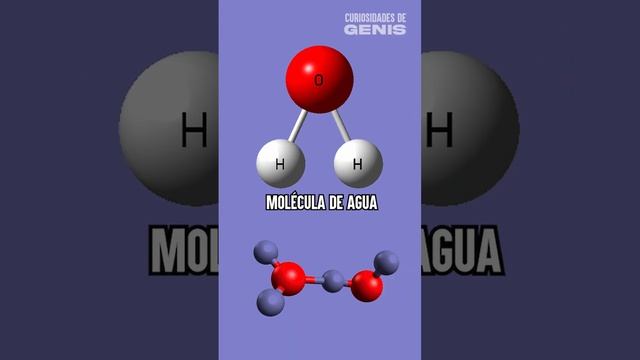 El Agua Con El Ph Mas Alto Del Mundo #aguaalcalina #aguamineral #agua #voss #fijiwater