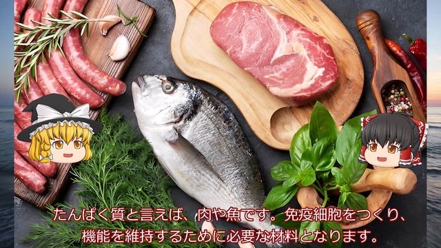 【免疫力向上】体を守るための食べ物10選！【ゆっくり解説】