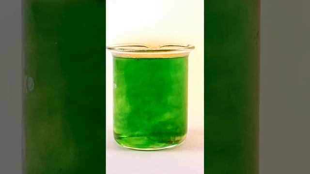 D491dadd842bd168f453a201bcf11bbb