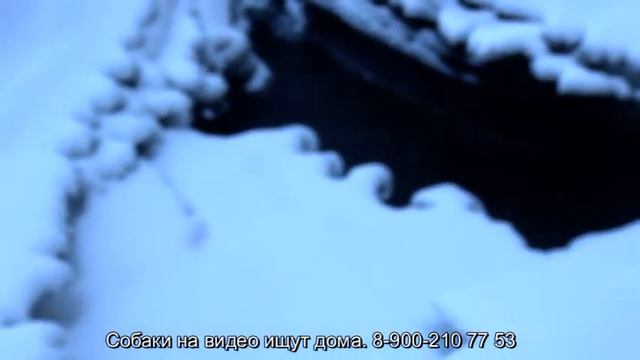 029c572147ec63cab0901962e1f7f7cd